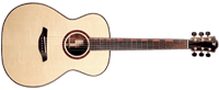 Limited Edition 2018 Furch Guitars