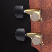 Gotoh 510 Gold patina with ebony buttons