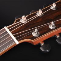 Koa with a white contrasting line - body, fingerboard, headstock